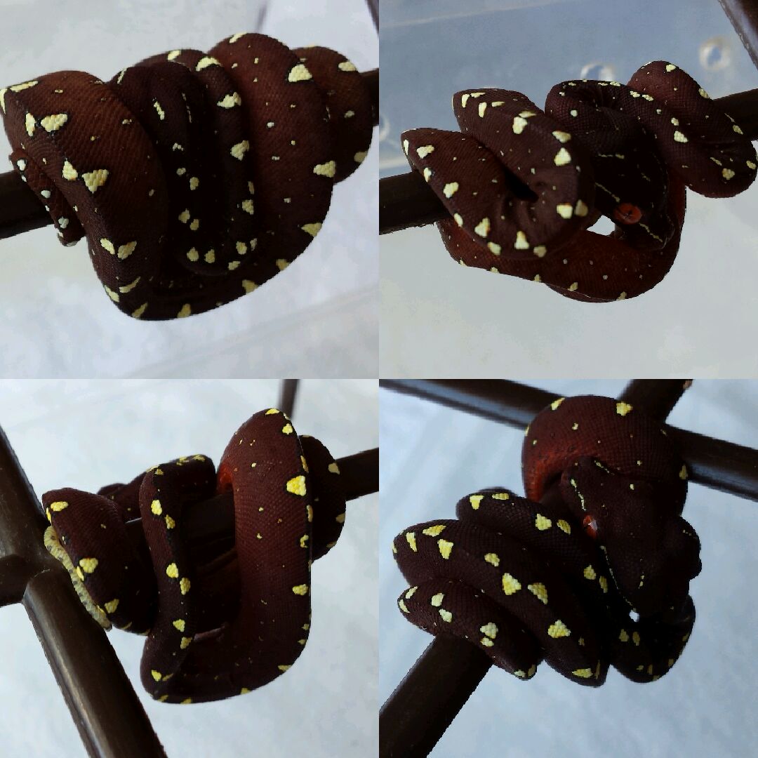 2015-04-21_19.01.43[1]